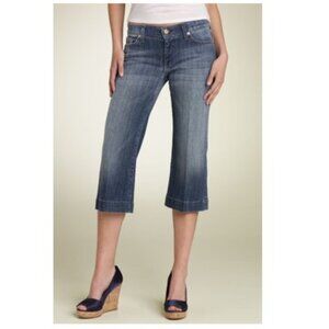 7FAMK 7 For All Mankind Crop Dojo flare  29 Y2k